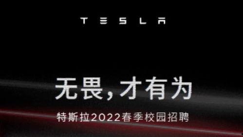 北京明星招聘公司,打造璀璨星途的幕后推手