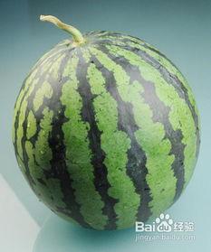 切瓜神器切西瓜吃,夏日美食新体验