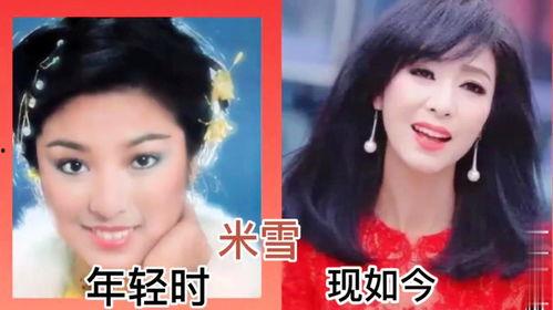 我的二十四位明星女仆,华丽转身，演绎时尚与魅力的完美融合