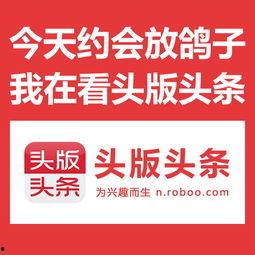 凯头条,揭秘科技巨头最新动态，洞察行业未来趋势