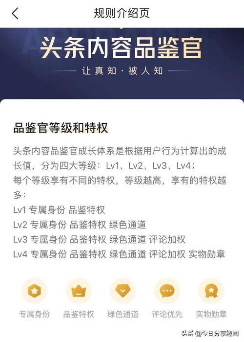头条品鉴官页面在哪里,探索内容创作的秘密花园