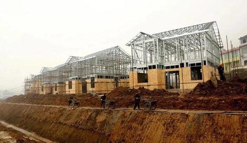 今日头条东北农田盖房,探索东北农村新型住房模式