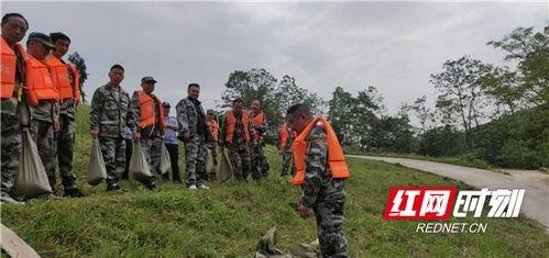 中方县桐木镇头条,聚焦桐木镇最新动态与热点资讯