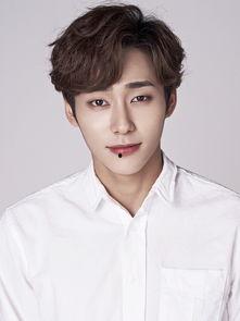 七号明星,闪耀舞台的璀璨之星