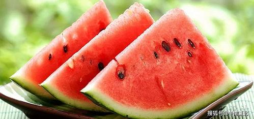 内蒙古赤峰网红吃瓜事件,一场网络舆论的风暴与反思