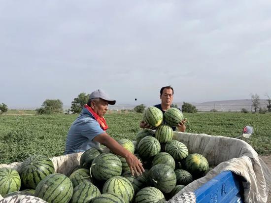 榆次吃瓜,揭秘当地特色美食背后的故事