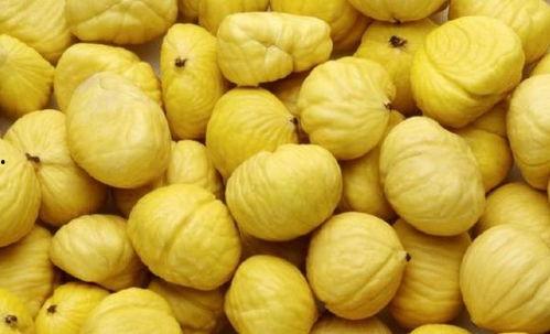 食道溃疡可以吃佛手瓜吗,食道溃疡患者适宜食用佛手瓜的饮食建议