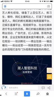 网红双十一预售图,网红爆款抢先看，抢购攻略大揭秘！”