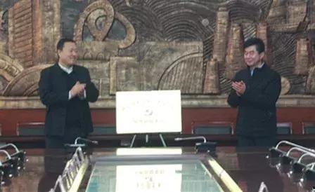 邢台临西今天新闻头条,聚焦今日头条，共探发展新篇章