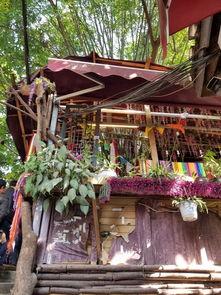 重庆花椒农场网红打卡,网红打卡地，花椒飘香中的田园风情