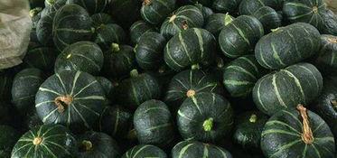 吃北瓜升血糖吗吃葡瓜,血糖影响大揭秘