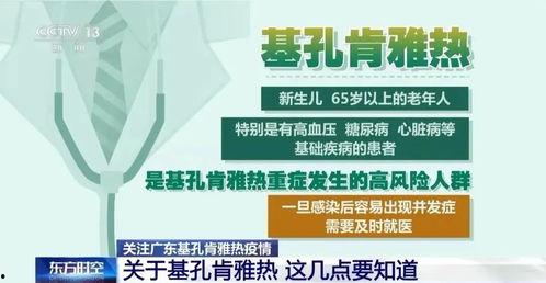 深圳今日头条疫情防护图,实时动态与防护指南一览