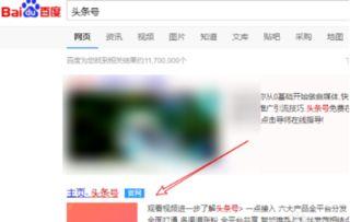 头条小店如何注册卖货,轻松开启你的卖货之旅